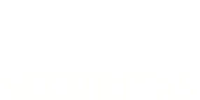 Securitas logo